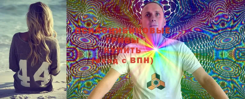 Галлюциногенные грибы Magic Shrooms  Агидель 